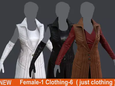 Female 1 - clothing 6 - just clothing Low-poly 3D model