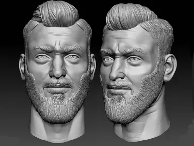 Male head sculpt human hair beard anatomy detailed  3D model