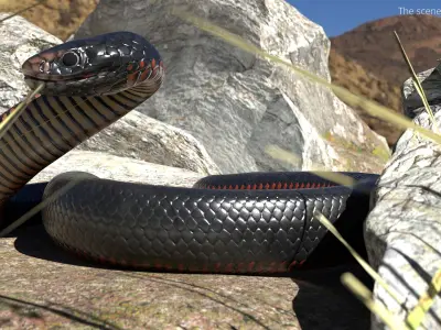  Desert Black King Snake Attacks Animated Rigged For Blender 