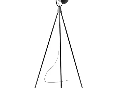 Briand Floor Lamp Black 3D model