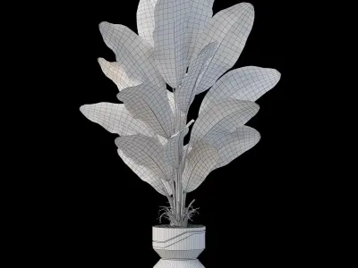 Plants collection 875 3D model