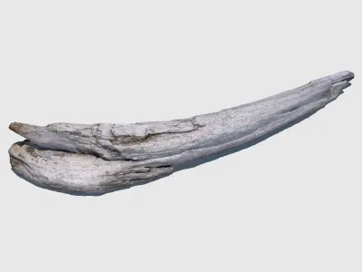 Sheriff Woody 3D model