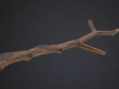 Realistic Branch Texture