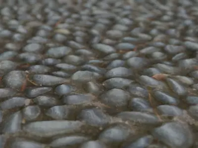 7 gravel set of stone eggs 3D model