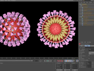 COVID - 19 Coronavirus Free 3D model