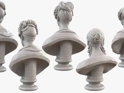  19th Century Female Busts 