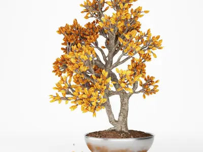 Collection Small tree 1 Free 3D model