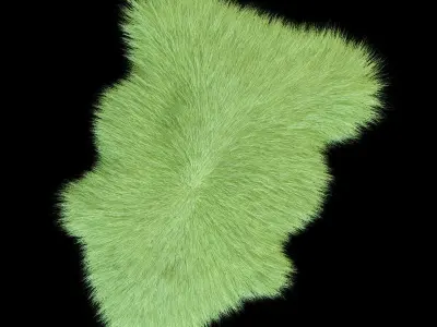 Skin sheepskin 3D model
