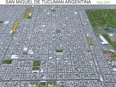 San Miguel de Tucuman Argentina 30km AI Low-poly 3D model