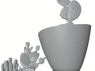 Decorative vases set with cactus HG2 3D model