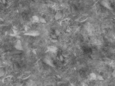 Leafy Ground Seamless Material Texture