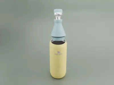 ll Day Slim Insulated Water Bottle 3D model