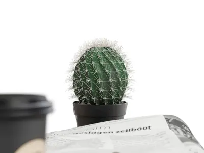 Decoratives set 19 3D model