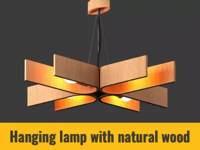 Hanging lamp with natural wood 3D model
