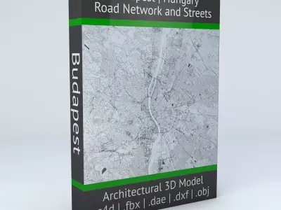 Budapest Road Network and Streets 3D model