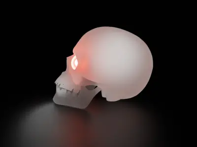 Indirect skull lighting Low-poly 3D model