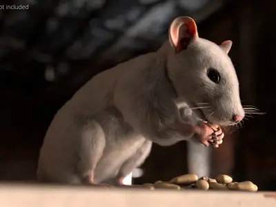  White Rat Fur Rigged For Blender Animated Set 