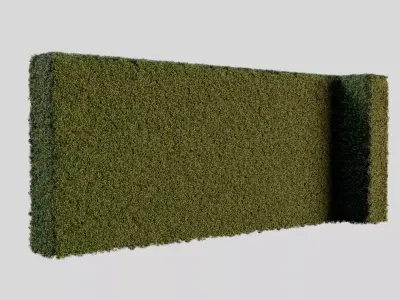 Podocarpus Hedge Realistic Landscape Plant Chaos Scatter 3D model