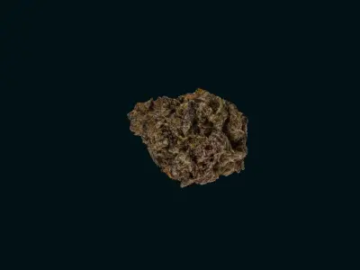 Marijuana Flower-Purple Punch 3D model