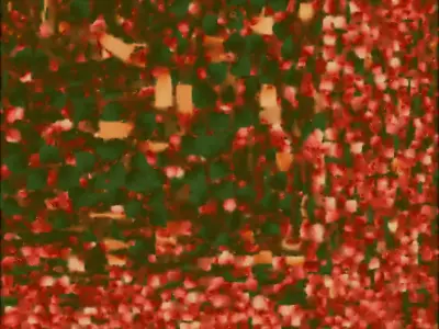 Gemstone Berry Christmas Wreath 3D Model Elegant Decor Low-poly 3D model