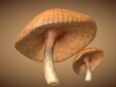 Mushroom 3 two mushrooms Low-poly 3D model