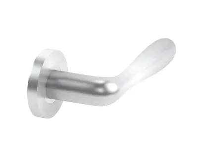 Eurospec Bulb Stainless Steel Door Handle 3D model