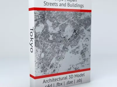 Tokyo Streets and Buildings 3D model