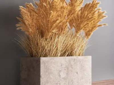 Indoor Plant Set 56  pampas 3D model