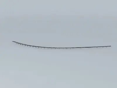Servia bridge 3D model