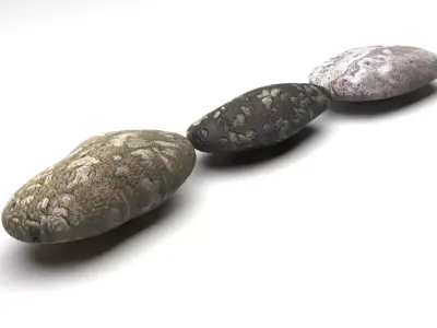 Rocks Set 3D model
