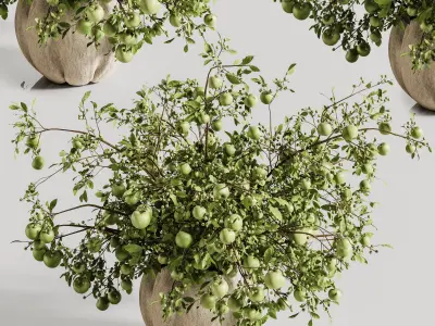  apple bouquet plants bouquet vase 34 3D model