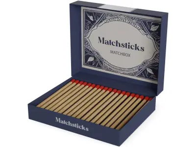 Lighting fluids and matches Matchsticks Low-poly 3D model