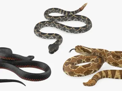  Snakes Rigged for Maya Collection 