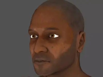 Human body lowpoly model  Low-poly 3D model