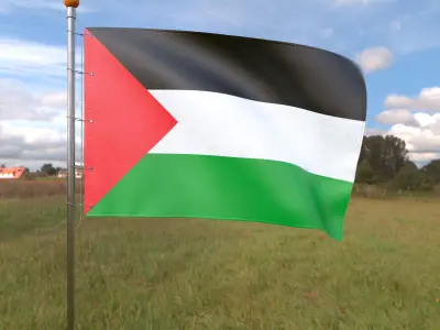 Flag Palestine animated loop 3D model