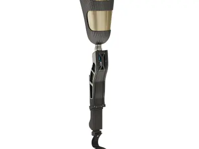 Prosthetic Leg 3D model