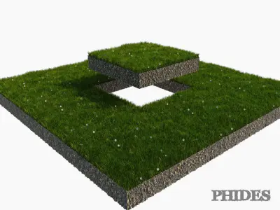 Daisies meadow patch 1 3D model