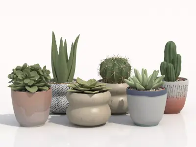 Collection Of Potted Cactus Plants 3D model