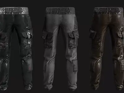 Fashionable Stylish Pants 3 colors Low-poly 3D model