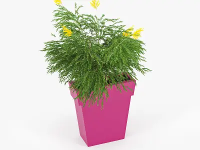 IL VASO OUTDOOR PLANTER color 3D model