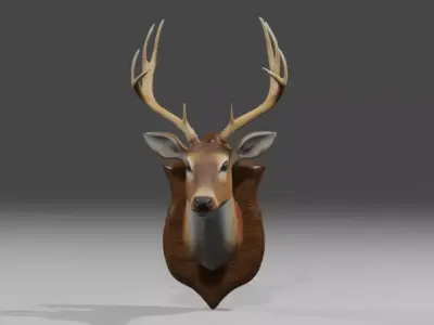 Realistic Mounted Deer Head  Low-poly 3D model