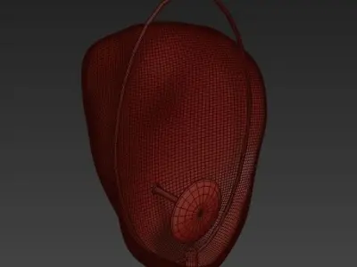CLAM bra 3D model