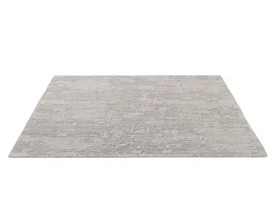 DASANI HANDWOVEN RUG 3D model