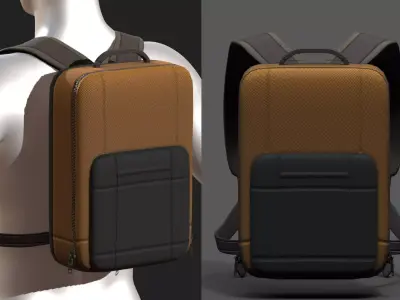 Backpack portfolio healthy camp clean  Low-poly 3D model