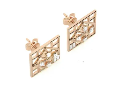 Light wt Women Diamond Earrings  3D print model