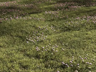 Grass and clover plantation 3D model