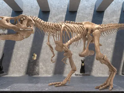  Tyrannosaurus Rex Skeleton Fossil Walking Pose 