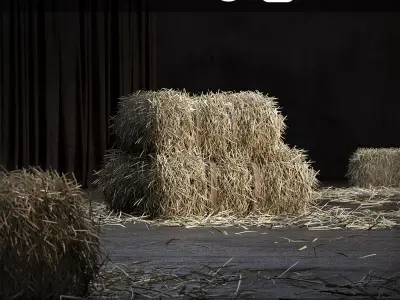 Straw bale GEOMETRY   SCATTER 3D model