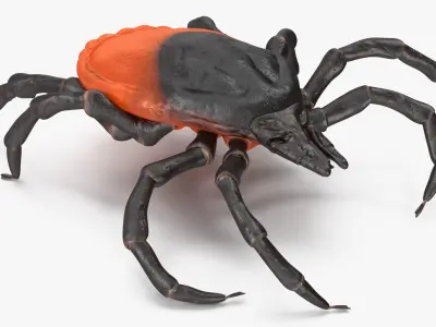  Parasites Rigged Collection 2 