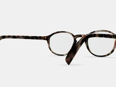 Caswell Eyeglasses in Biscotti Tortoise 3D model